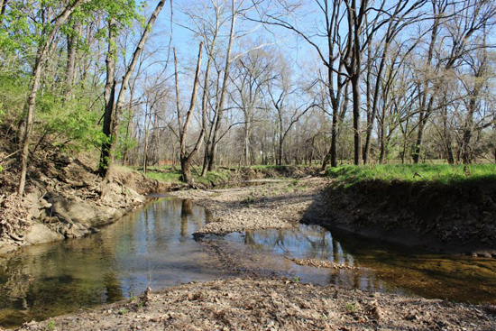 Strawn Park